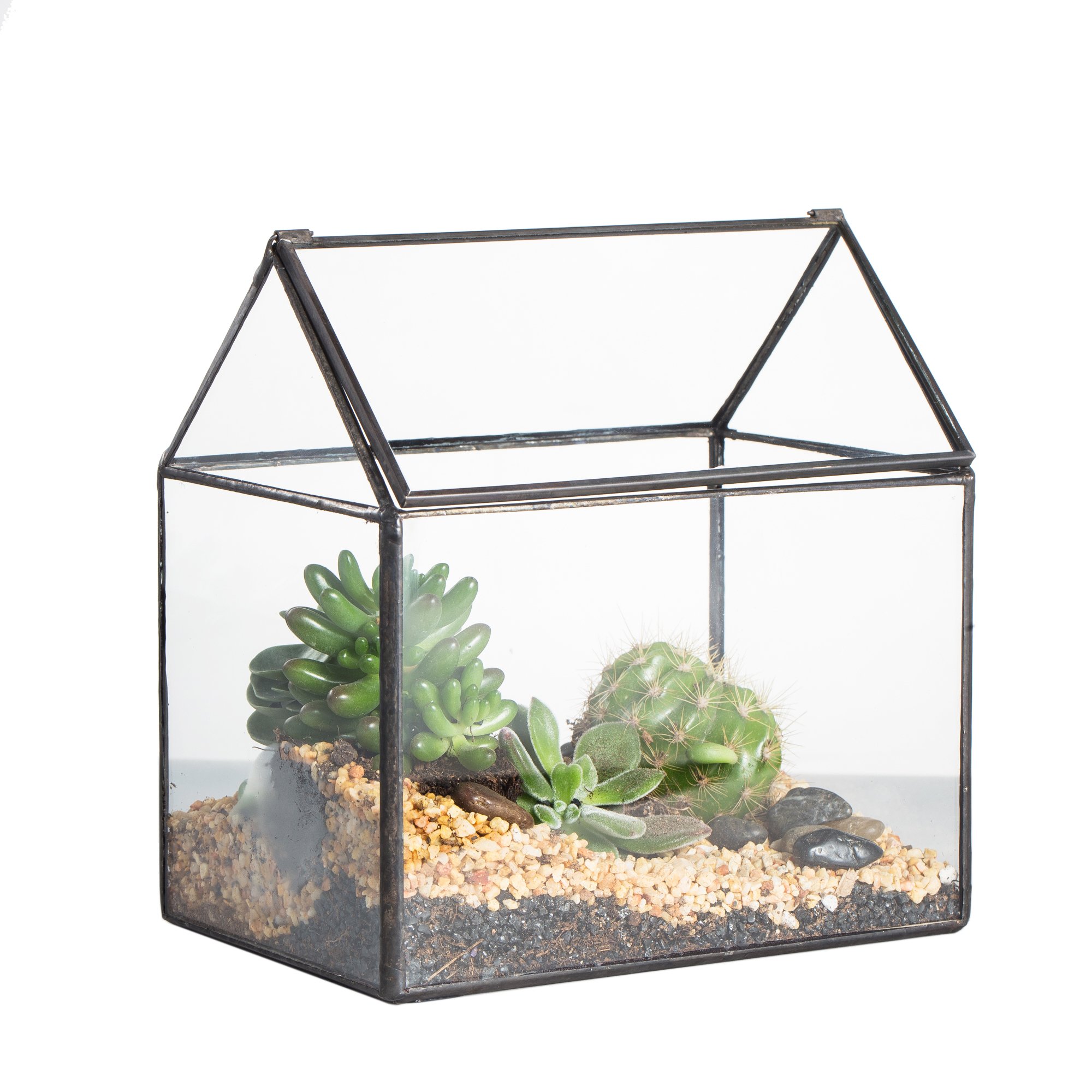 Amazon.com: NCYP Small 6.1